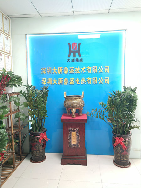 중국 Shenzhen Datang Dingsheng Technology Co., Ltd. 
